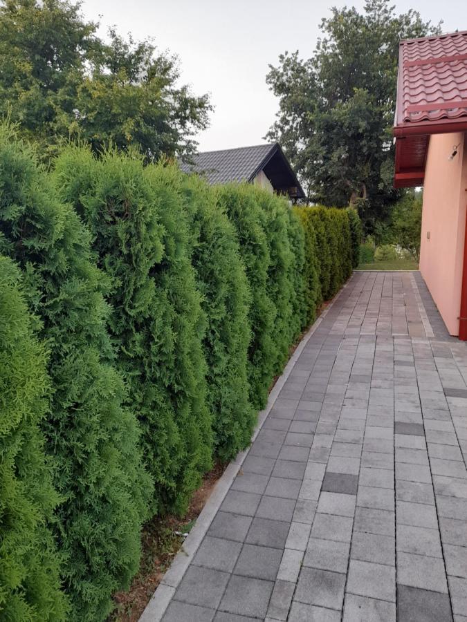 Villa Usivak For Green Quiet Holiday Near Sarajevo#Travellerawards2025 Esterno foto