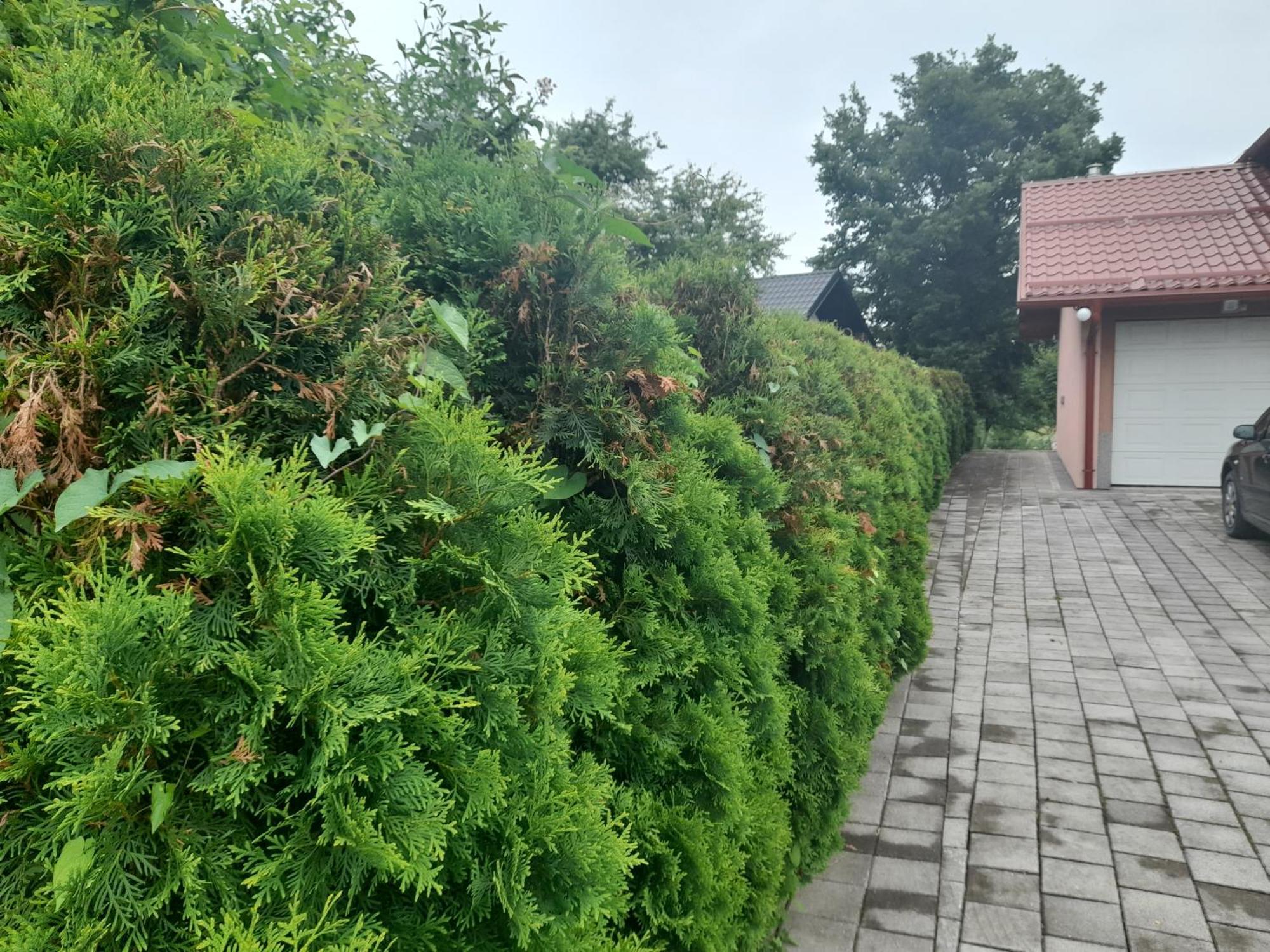 Villa Usivak For Green Quiet Holiday Near Sarajevo#Travellerawards2025 Esterno foto